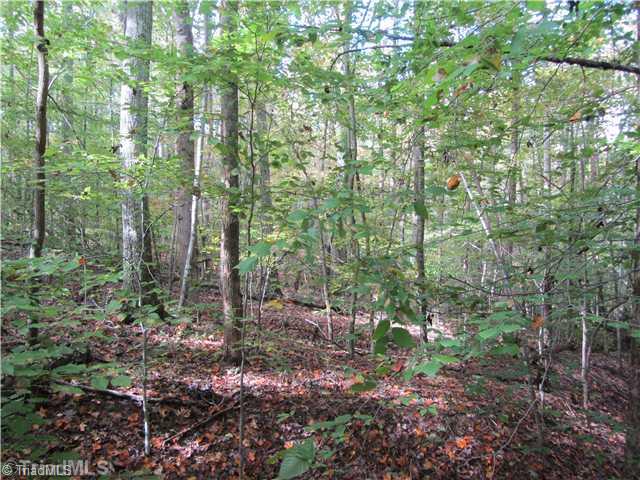 8312 Stafford Mill Road Oak Ridge, NC 27310 - Photo 4 of 5 Land.