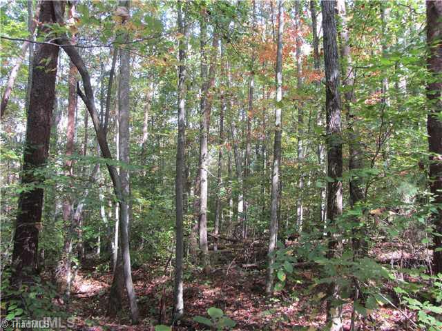 8312 Stafford Mill Road Oak Ridge, NC 27310 - Photo 5 of 5 Land.