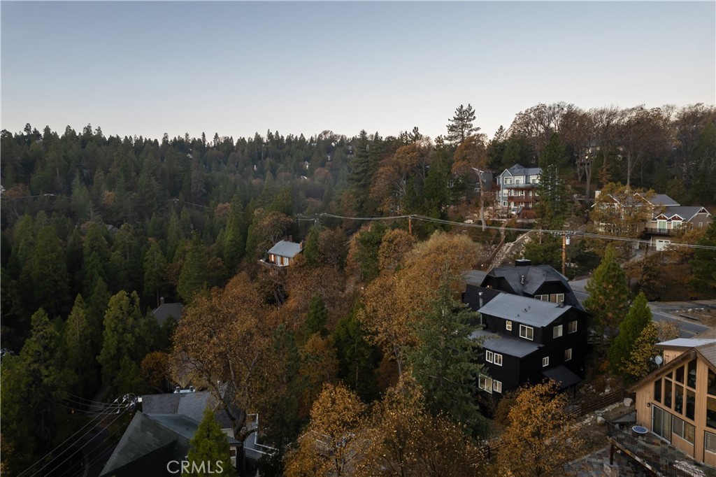 27555 North Bay Road Lake Arrowhead, CA 92352 - Photo 11 of 47 Gallery Image 11