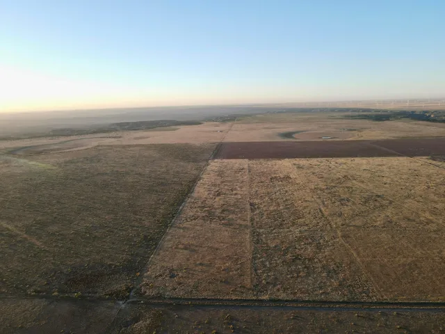 a view of a field with trees in background