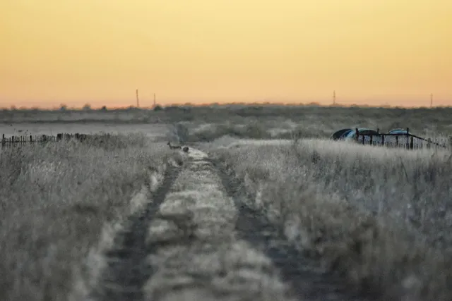 a picture of a room with a wooden floor and a potted plant