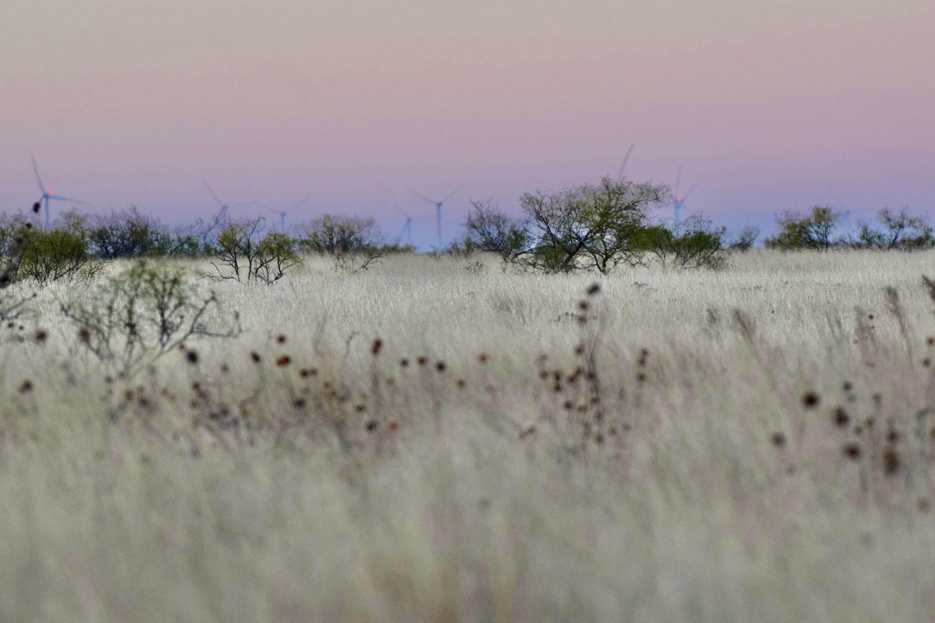 County Road Silverton, TX 79257 - Photo 15 of 25 a view of a lake in middle of forest