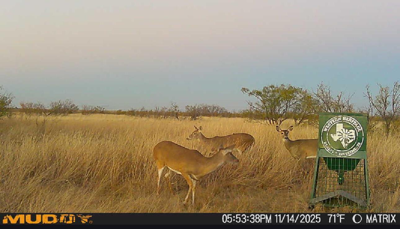 County Road Silverton, TX 79257 - Photo 17 of 25 a view of an ocean view