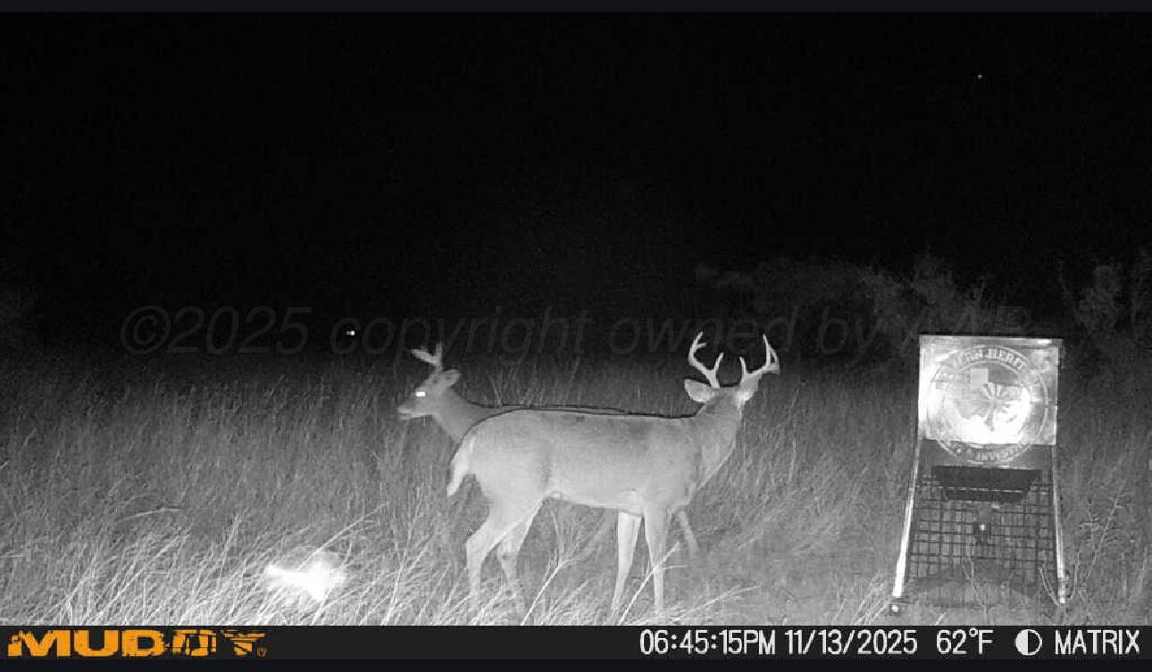 County Road Silverton, TX 79257 - Photo 18 of 25