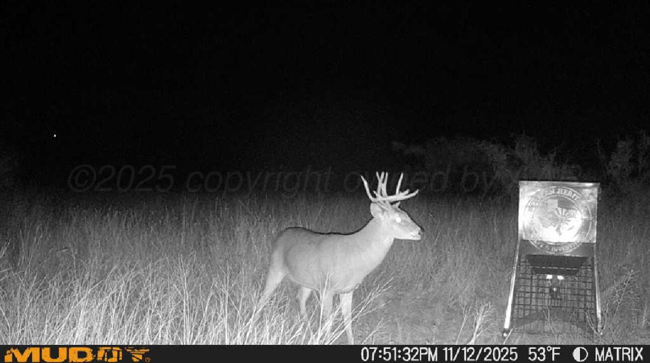 County Road Silverton, TX 79257 - Photo 20 of 25 a view of entryway and hall with wooden floor