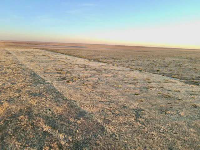 a view of a city with lush green forest