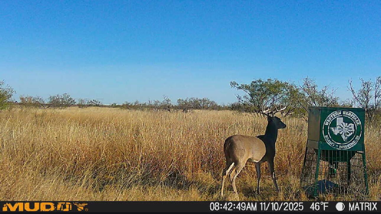County Road Silverton, TX 79257 - Photo 21 of 25