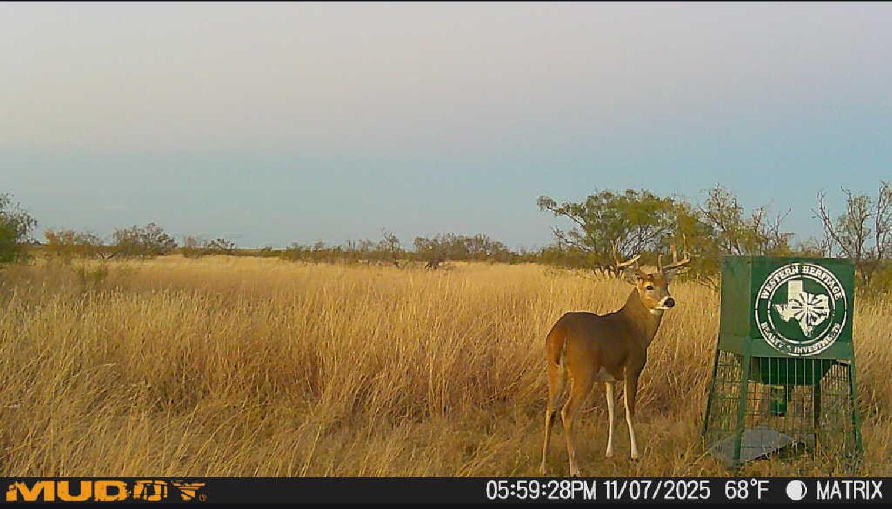 County Road Silverton, TX 79257 - Photo 22 of 25 a view of lake