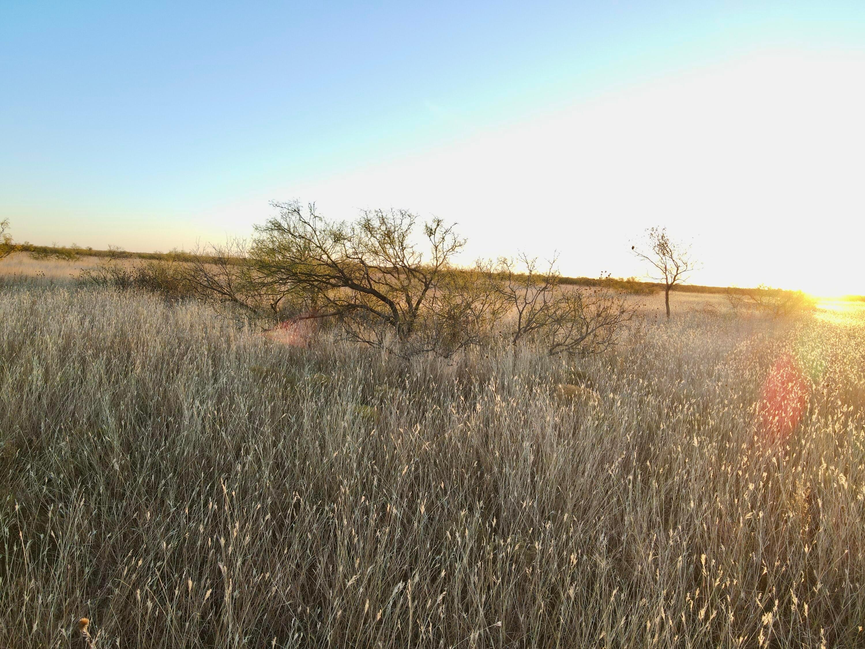 County Road Silverton, TX 79257 - Photo 4 of 25 a view of a lake