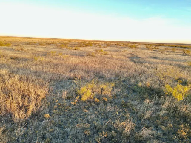 a view of beach and ocean