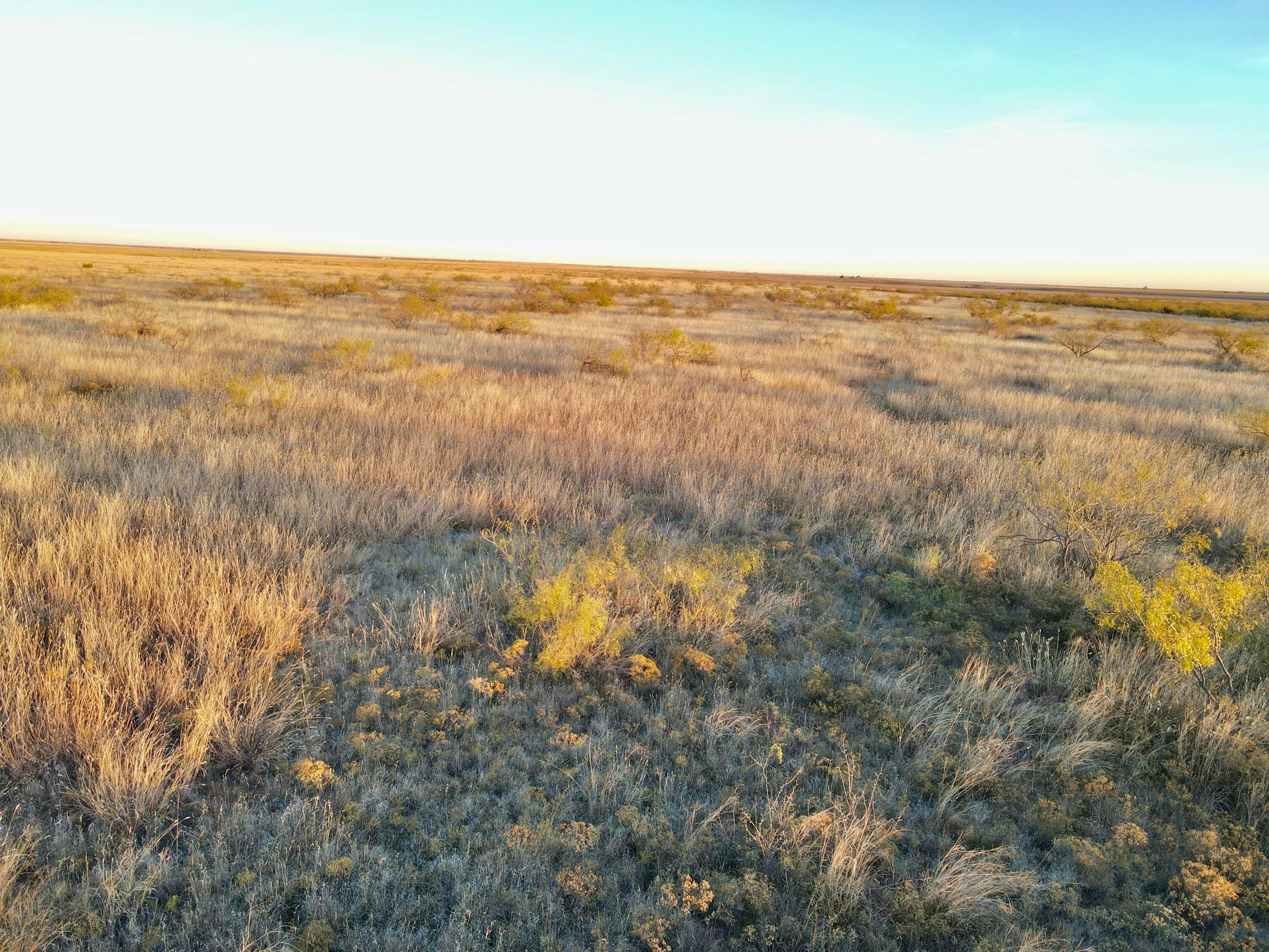 County Road Silverton, TX 79257 - Photo 6 of 25