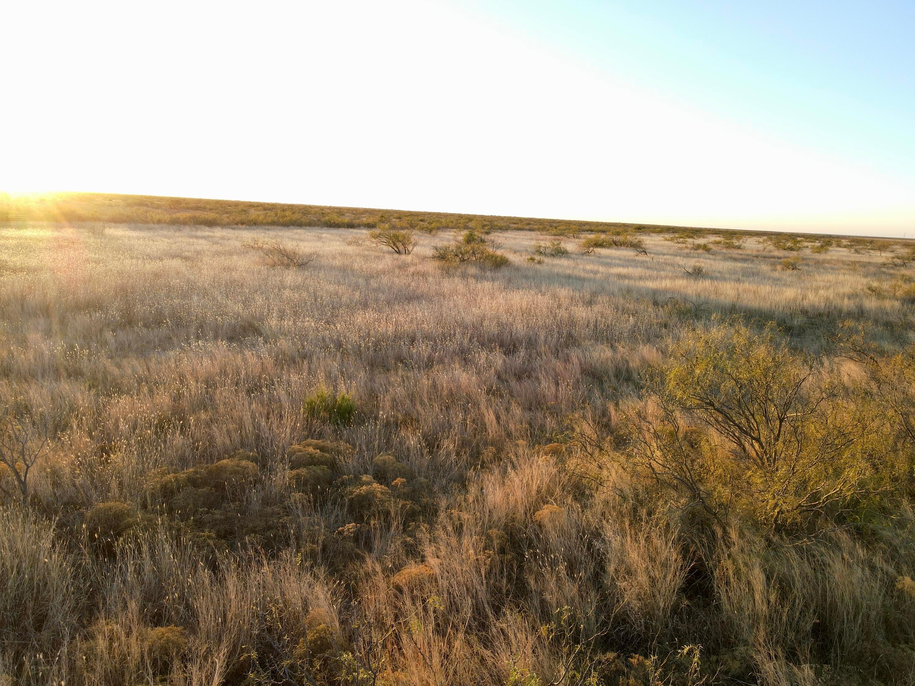 County Road Silverton, TX 79257 - Photo 7 of 25