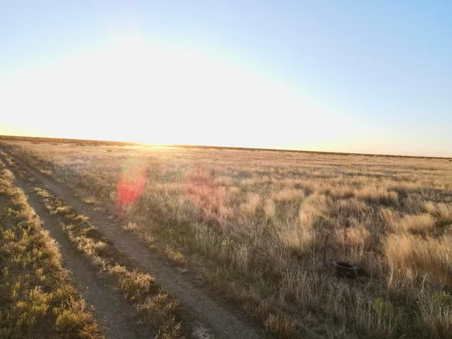 an aerial view of house with yard and mountain view in back