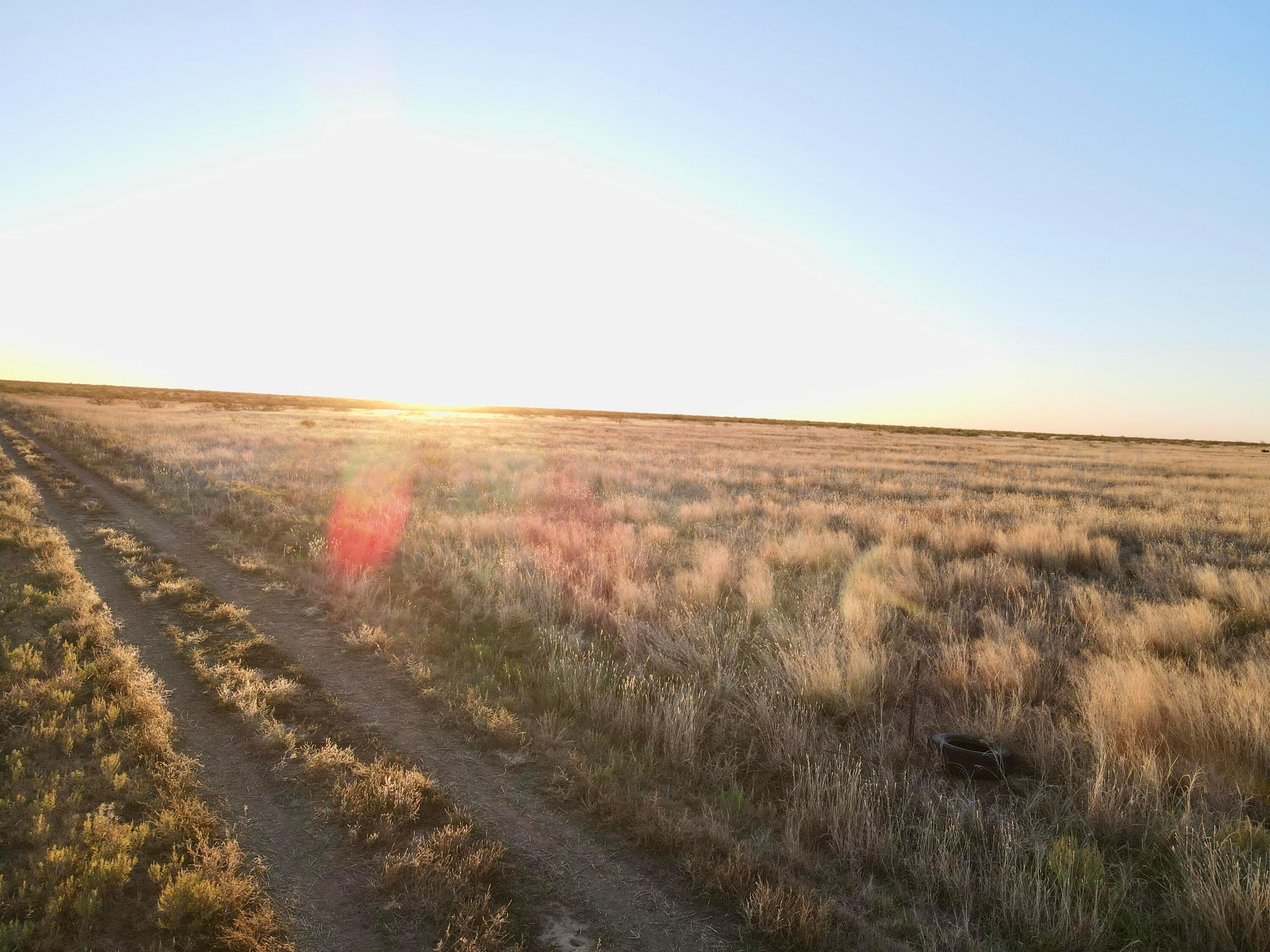 County Road Silverton, TX 79257 - Photo 8 of 25