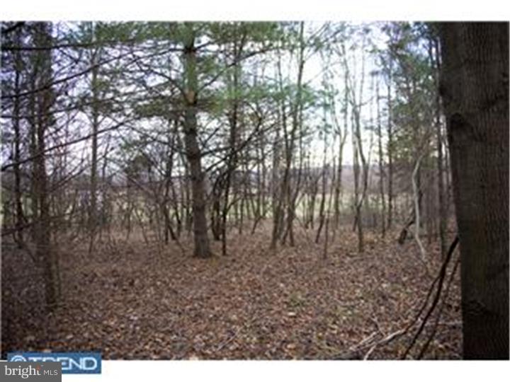 Lot 1 Ebert Road Coopersburg, PA 18036 - Photo 3 of 3 Gallery Image 3