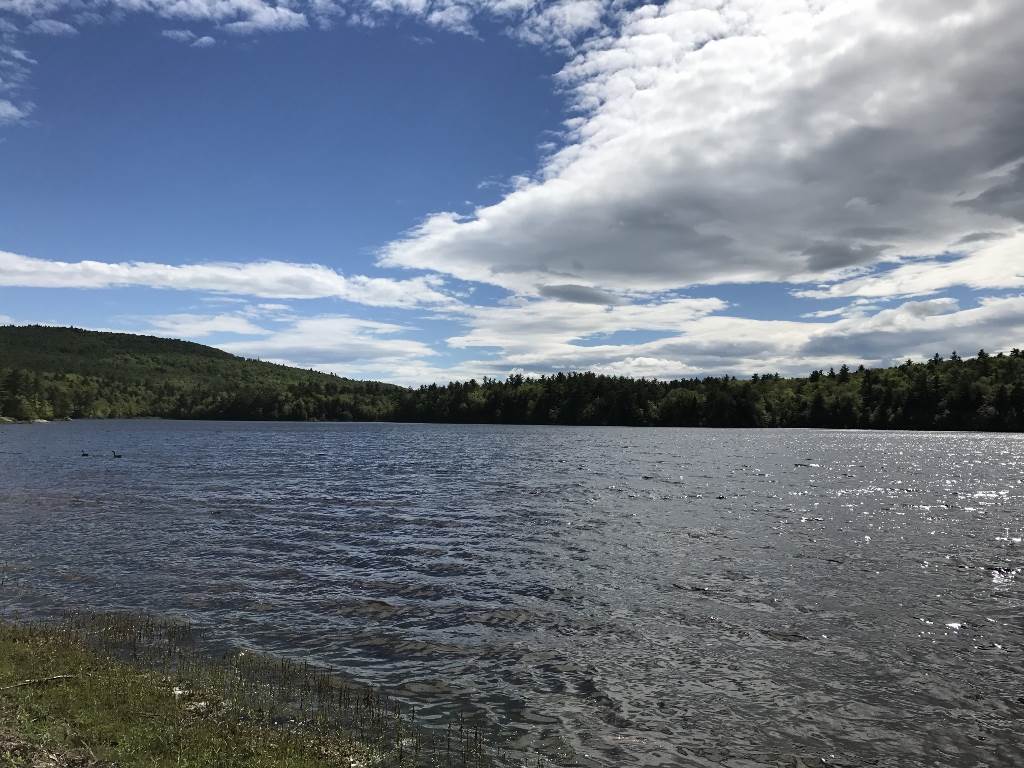 530 Center Pond Road Stoddard, NH 03464 - Photo 2 of 13