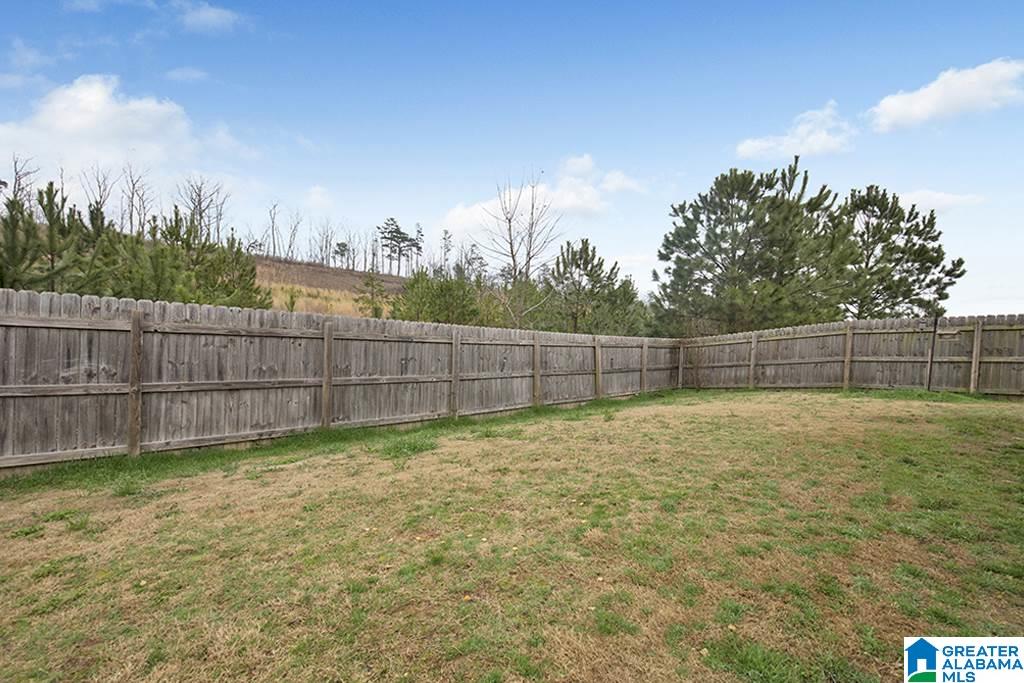 103 Village Springs Cove Springville, AL 35146 - Photo 6 of 22