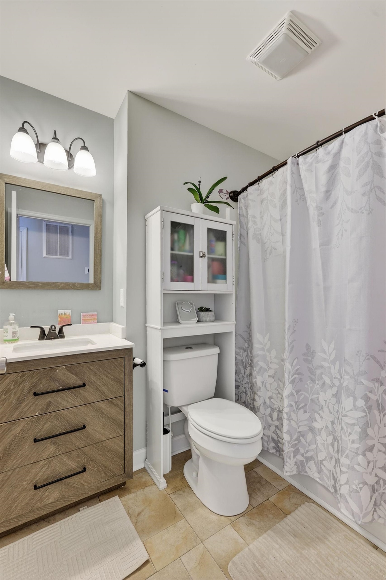 235 Locustdale Loop Shenandoah, VA 22849 - Photo 6 of 30 a bathroom with a toilet a sink and a mirror