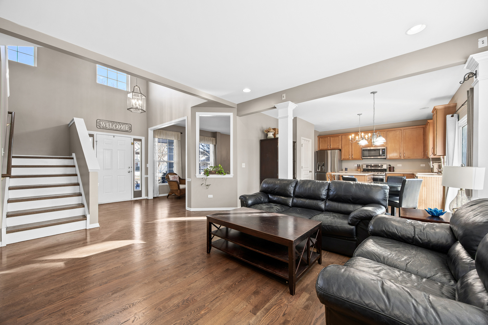 133 North Cranberry Street Bolingbrook, IL 60490 - Photo 16 of 46 a living room with furniture and a wooden floor