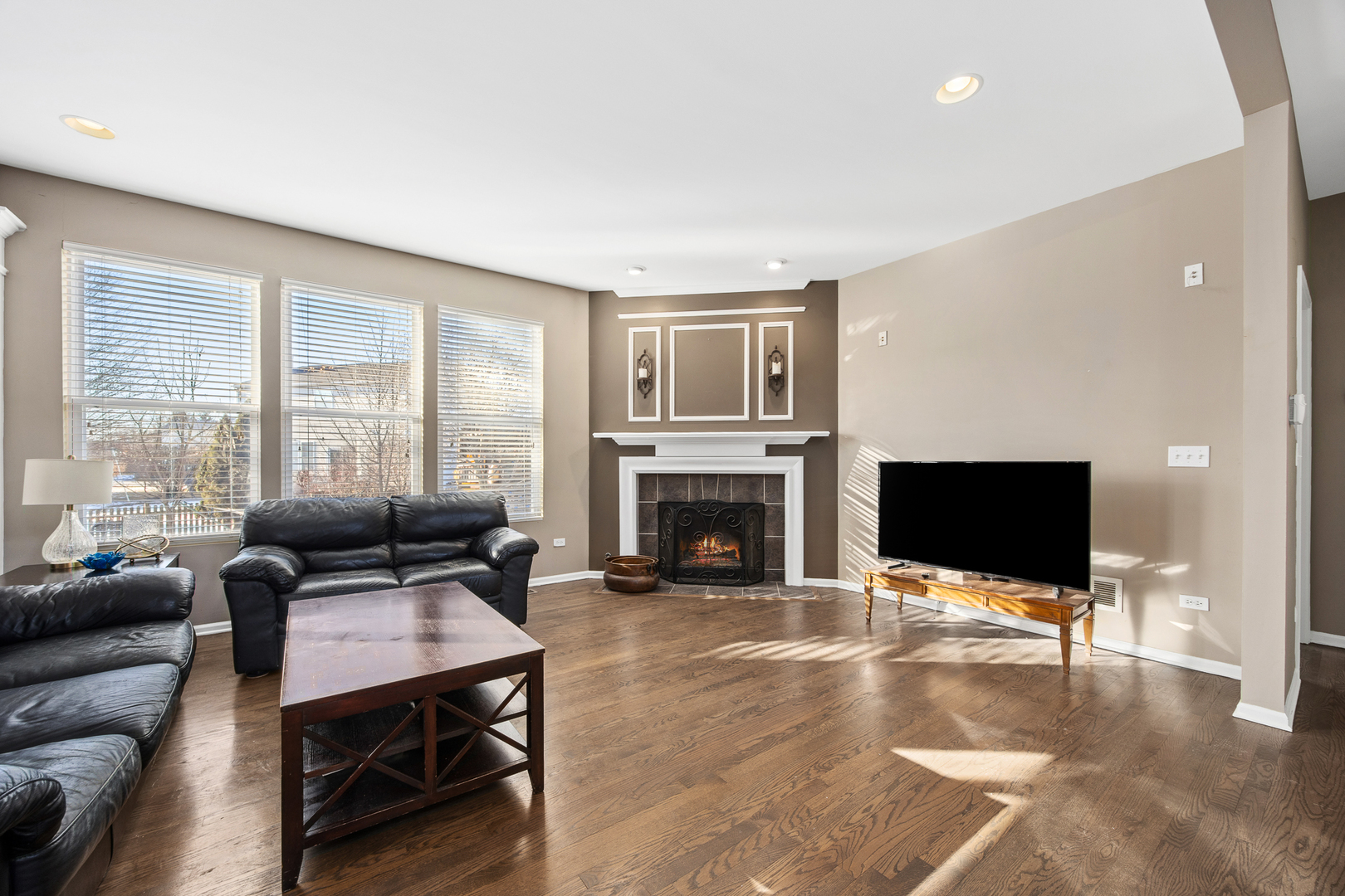 133 North Cranberry Street Bolingbrook, IL 60490 - Photo 18 of 46 a living room with furniture a fireplace and a flat screen tv