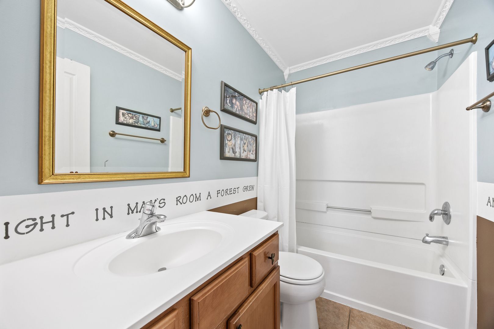 133 North Cranberry Street Bolingbrook, IL 60490 - Photo 27 of 46 a bathroom with a sink toilet and shower