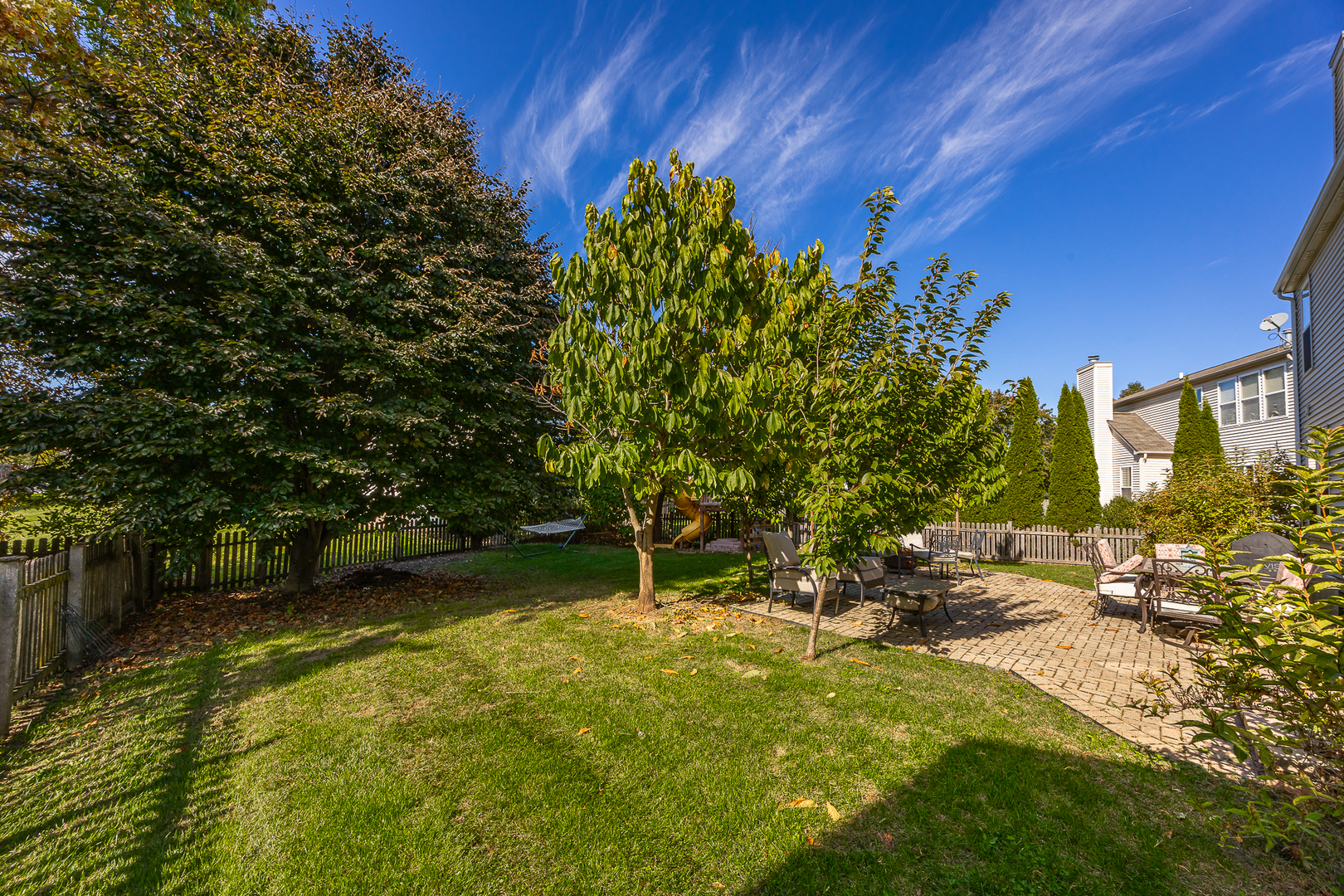 133 North Cranberry Street Bolingbrook, IL 60490 - Photo 41 of 46 a backyard of a house with lots of green space