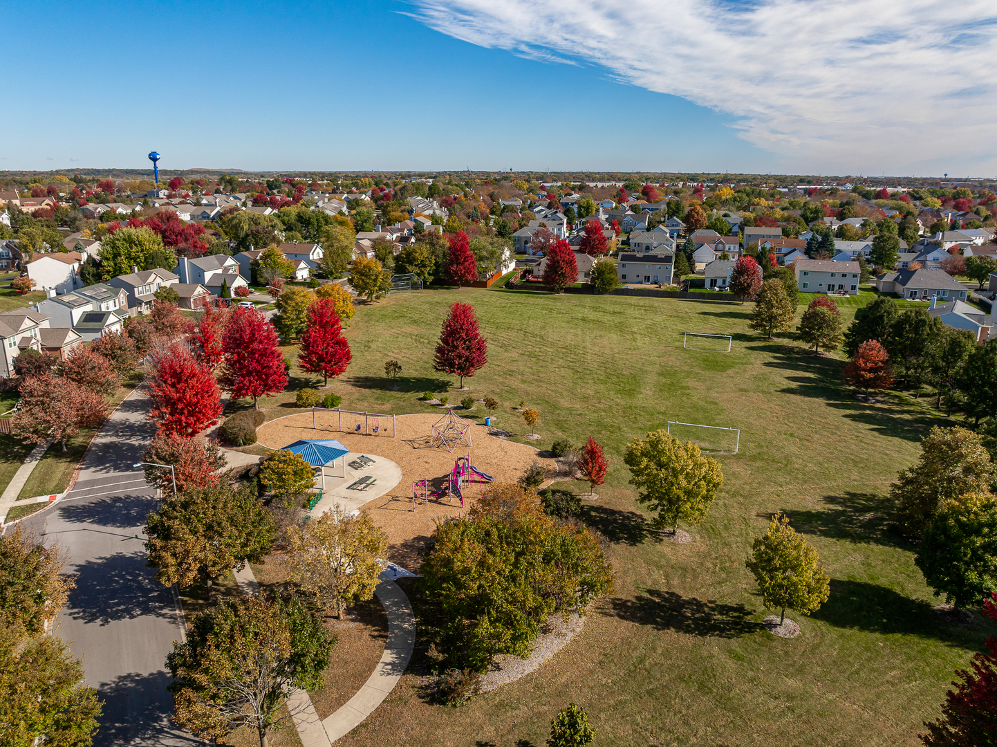 133 North Cranberry Street Bolingbrook, IL 60490 - Photo 45 of 46 a view of a lake