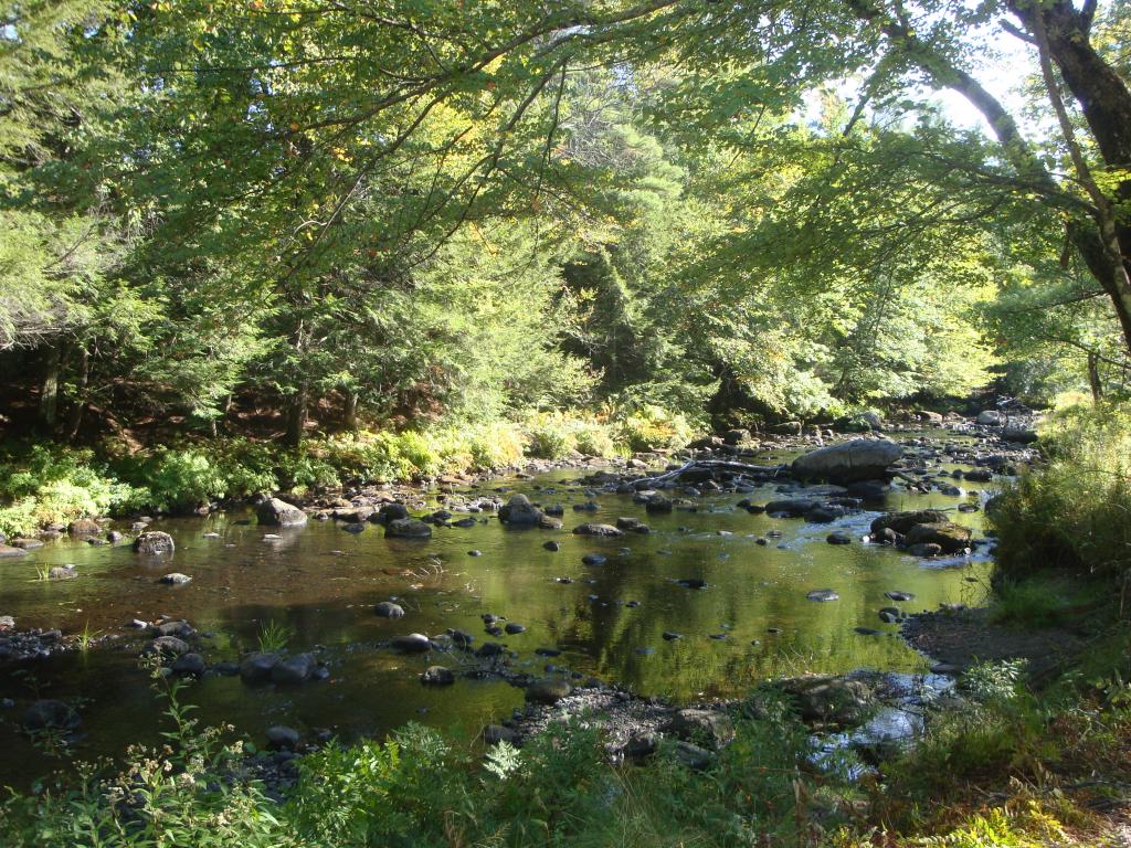 0 Murray Hill Road Hill, NH 03230 - Photo 1 of 22 Gallery Image 1