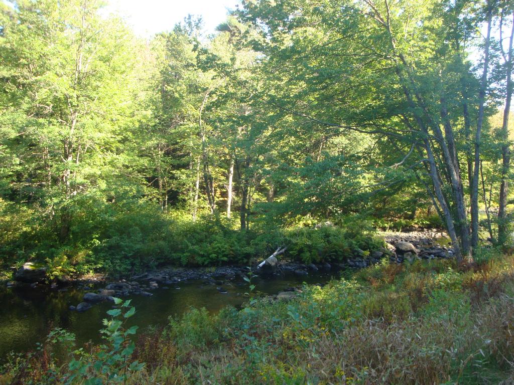 0 Murray Hill Road Hill, NH 03230 - Photo 11 of 22 Gallery Image 11