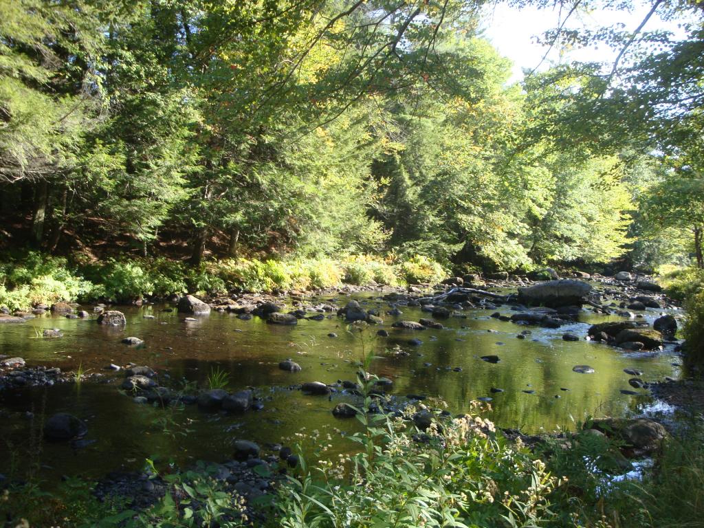 0 Murray Hill Road Hill, NH 03230 - Photo 12 of 22 Gallery Image 12