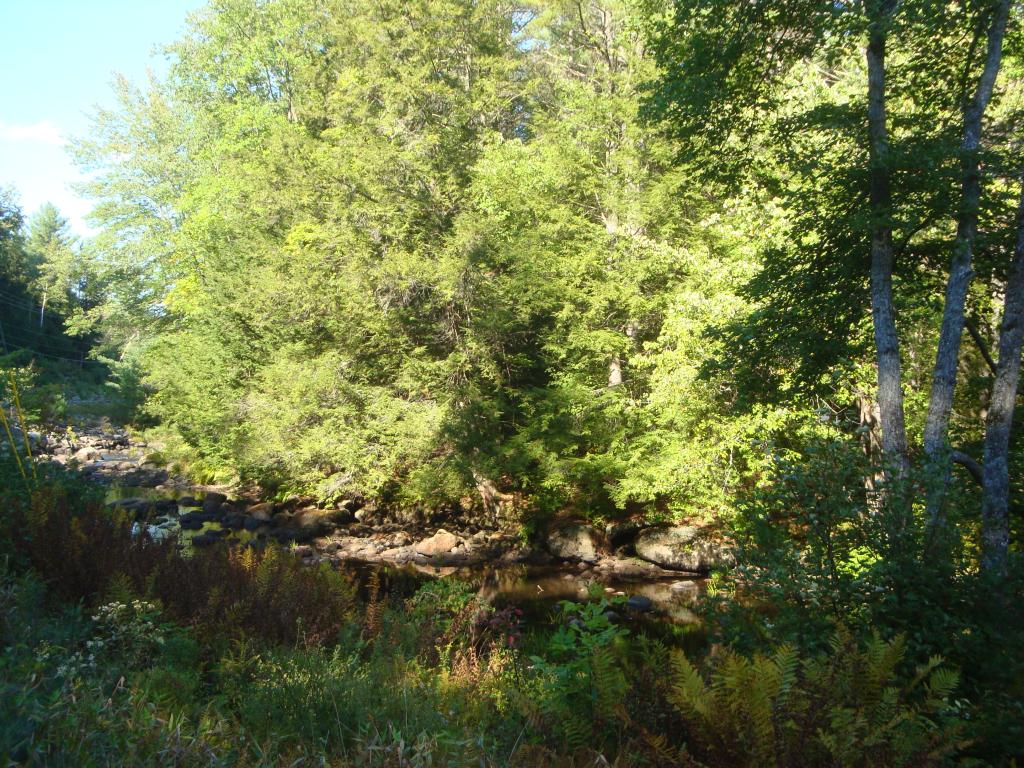 0 Murray Hill Road Hill, NH 03230 - Photo 13 of 22 Gallery Image 13