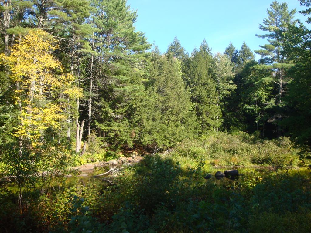 0 Murray Hill Road Hill, NH 03230 - Photo 14 of 22 Gallery Image 14