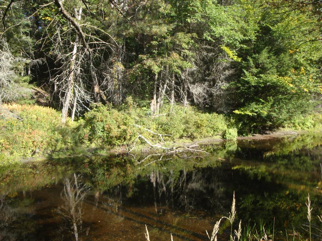 0 Murray Hill Road Hill, NH 03230 - Photo 15 of 22 Gallery Image 15