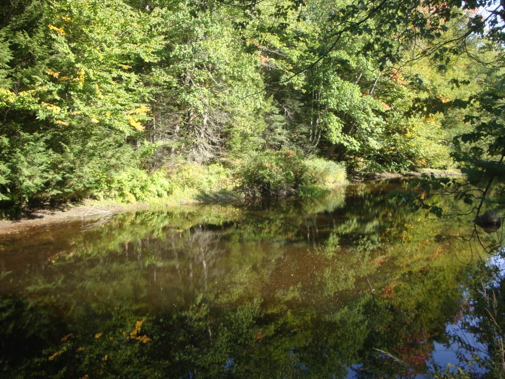 0 Murray Hill Road Hill, NH 03230 - Photo 16 of 22 Gallery Image 16