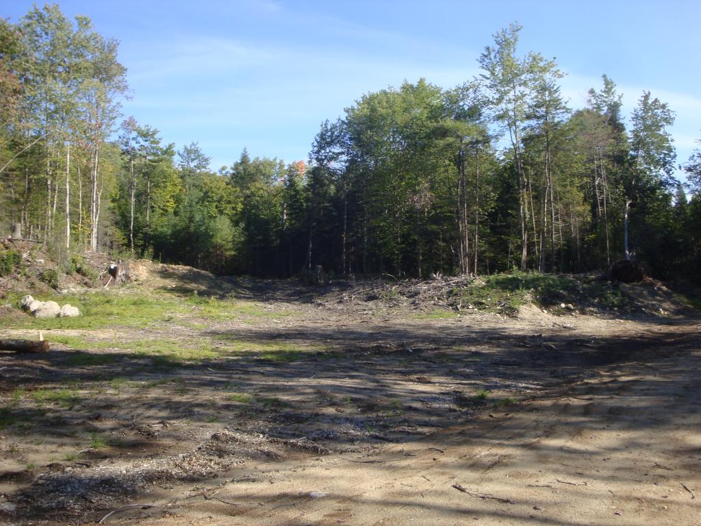 0 Murray Hill Road Hill, NH 03230 - Photo 19 of 22 Gallery Image 19