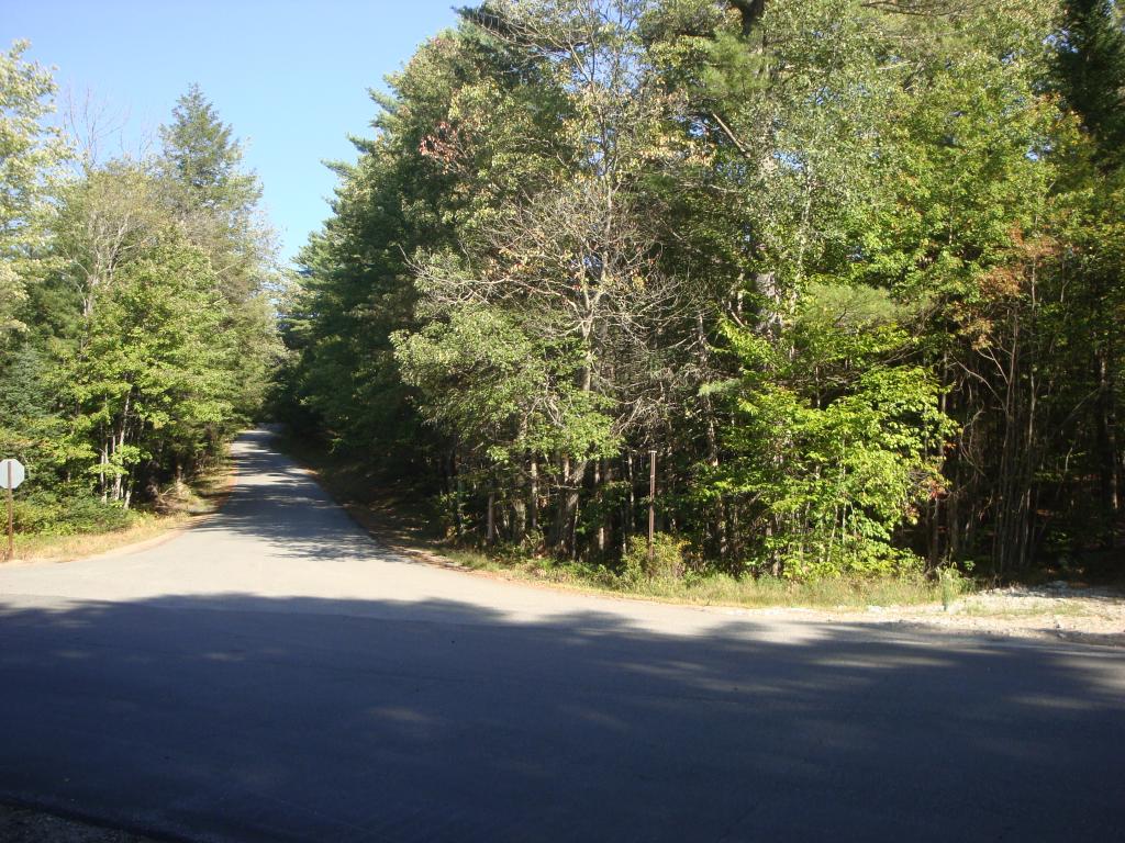 0 Murray Hill Road Hill, NH 03230 - Photo 3 of 22 Gallery Image 3