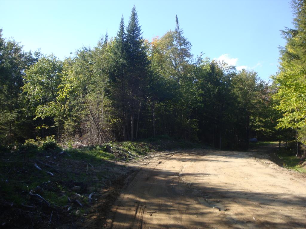 0 Murray Hill Road Hill, NH 03230 - Photo 21 of 22 Gallery Image 21