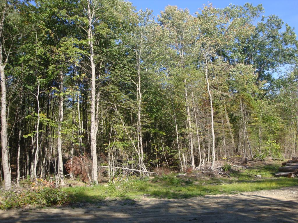 0 Murray Hill Road Hill, NH 03230 - Photo 22 of 22 Gallery Image 22