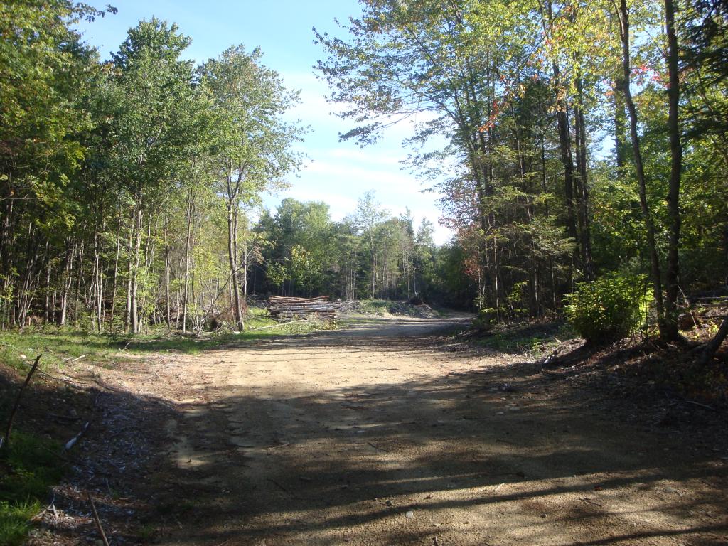 0 Murray Hill Road Hill, NH 03230 - Photo 4 of 22 Gallery Image 4