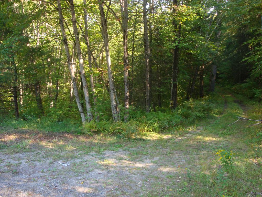 0 Murray Hill Road Hill, NH 03230 - Photo 6 of 22 Gallery Image 6