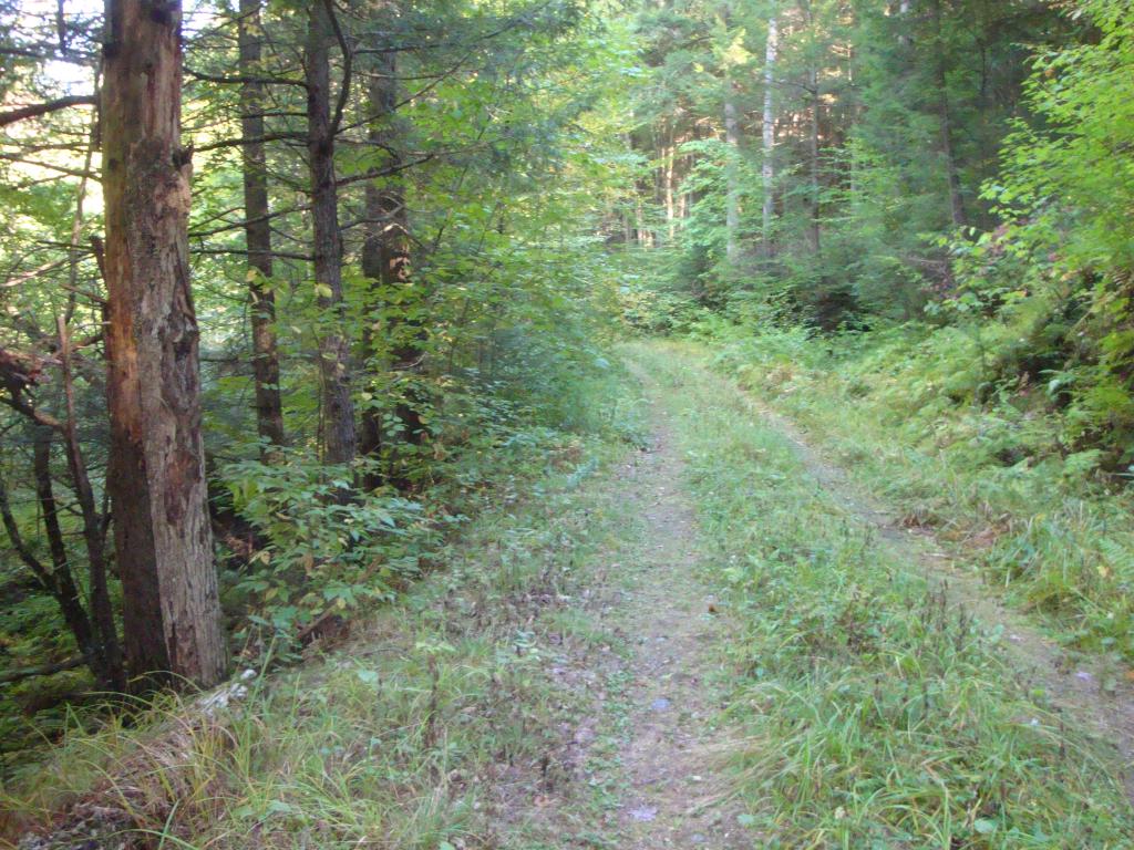 0 Murray Hill Road Hill, NH 03230 - Photo 7 of 22 Gallery Image 7