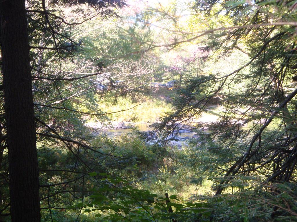 0 Murray Hill Road Hill, NH 03230 - Photo 9 of 22 Gallery Image 9
