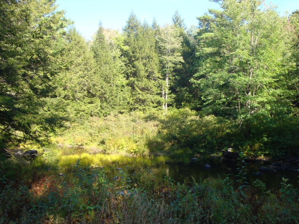 0 Murray Hill Road Hill, NH 03230 - Photo 10 of 22 Gallery Image 10