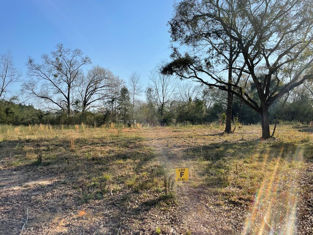 -lot F Prevatt Road Ashford, AL 36312 - Photo 1 of 1