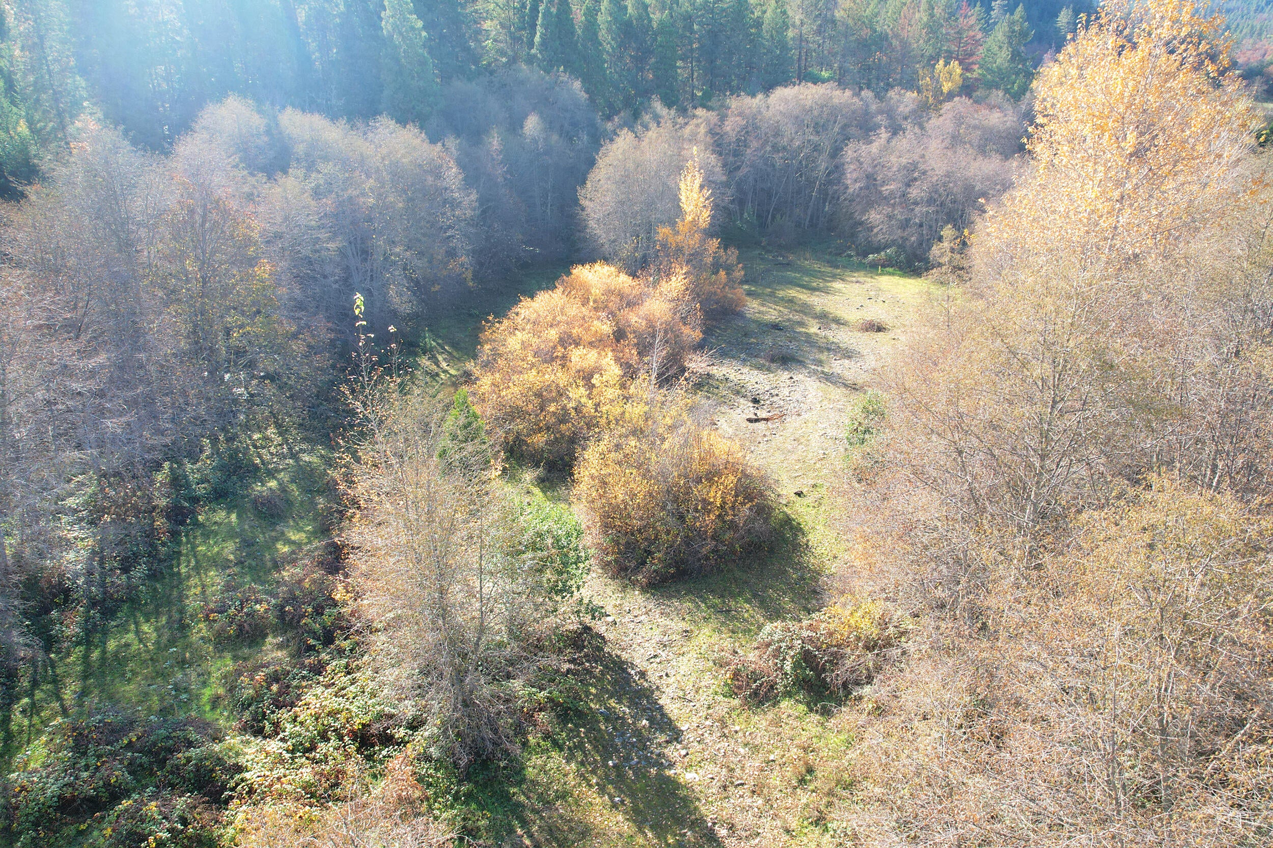 North Applegate Road Jacksonville, OR 97530 - Photo 25 of 51 lower SW section on the river