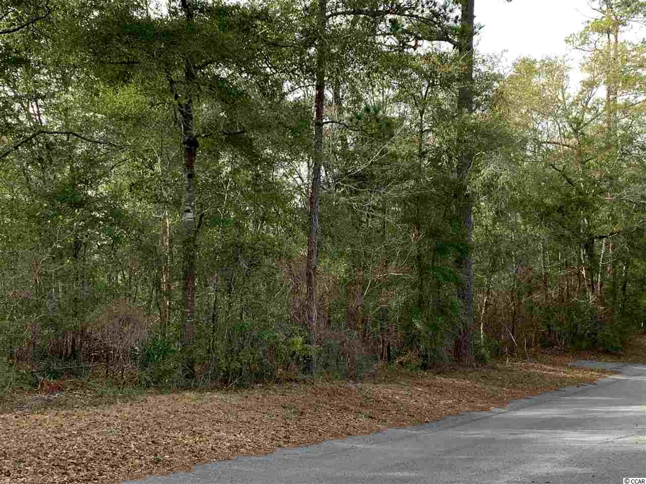 Tbd 85-ac Steep Landing Road Conway, SC 29526 - Photo 1 of 5 Gallery Image 1