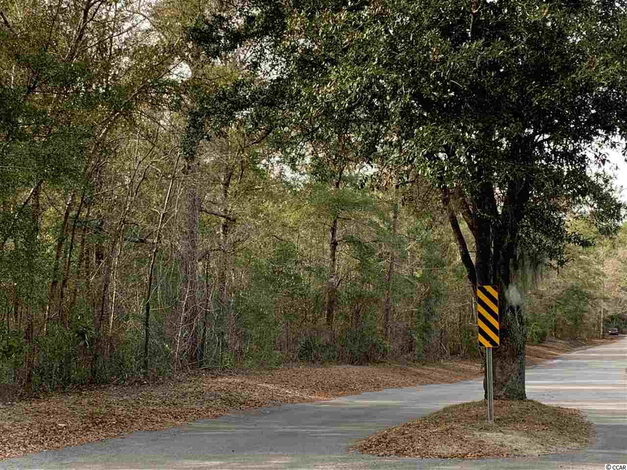 Tbd 85-ac Steep Landing Road Conway, SC 29526 - Photo 2 of 5 Gallery Image 2