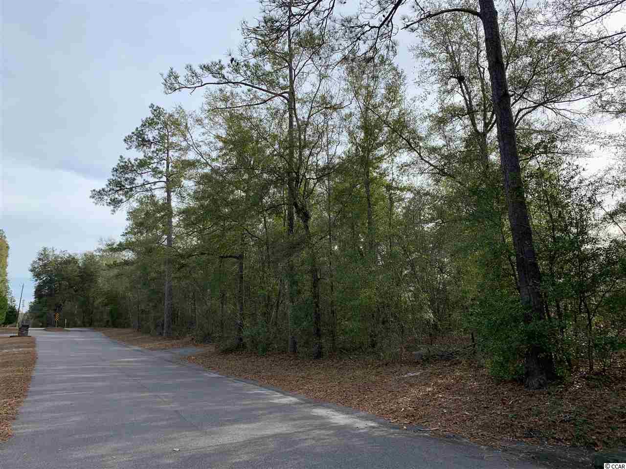 Tbd 85-ac Steep Landing Road Conway, SC 29526 - Photo 3 of 5 Gallery Image 3