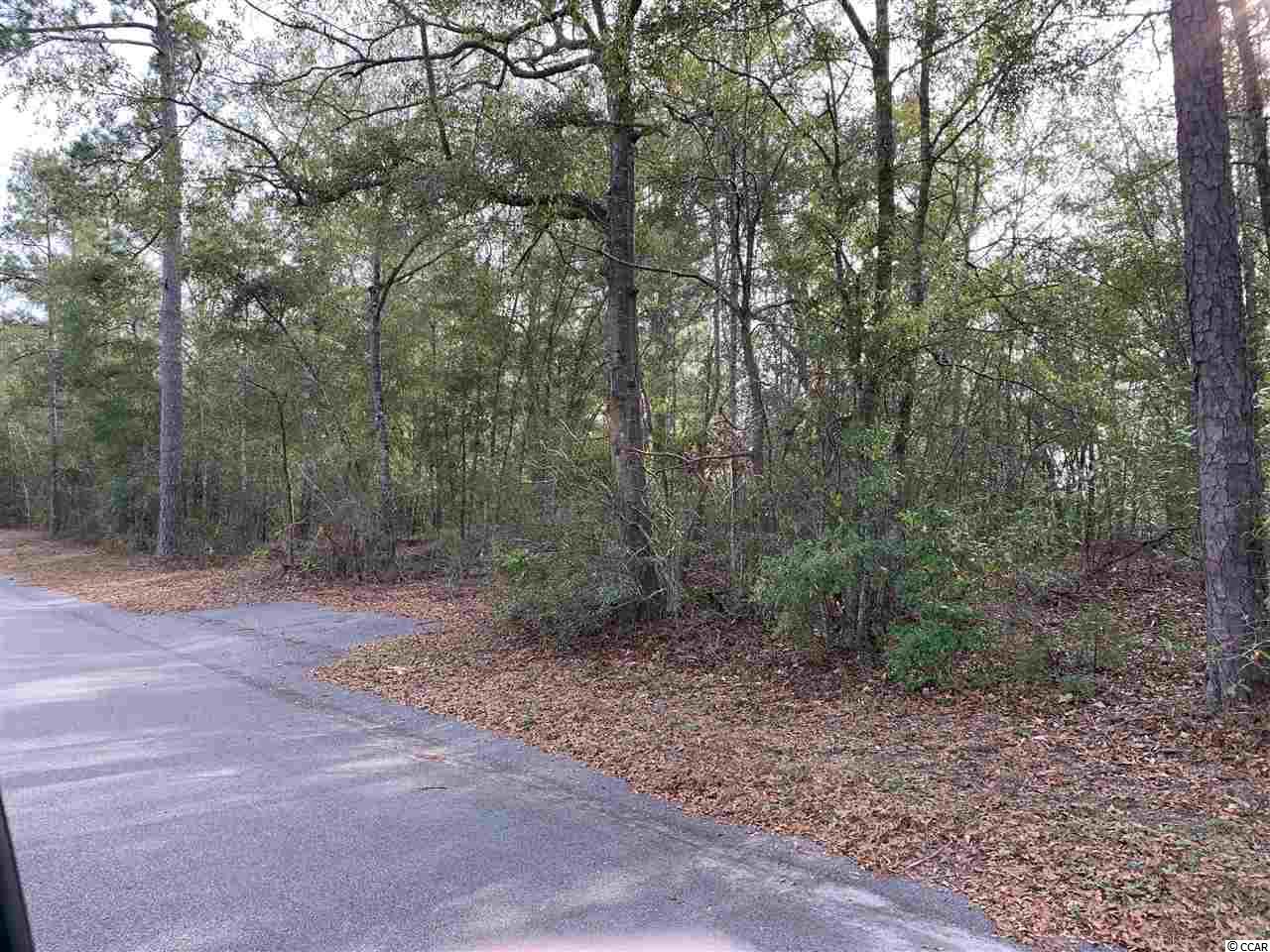 Tbd 85-ac Steep Landing Road Conway, SC 29526 - Photo 4 of 5 Gallery Image 4