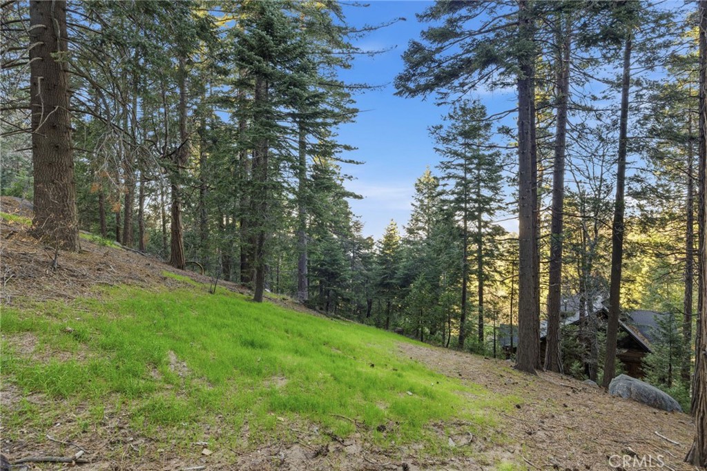 1349 Valley View Way Crestline, CA 92325 - Photo 43 of 43 a view of a yard with trees